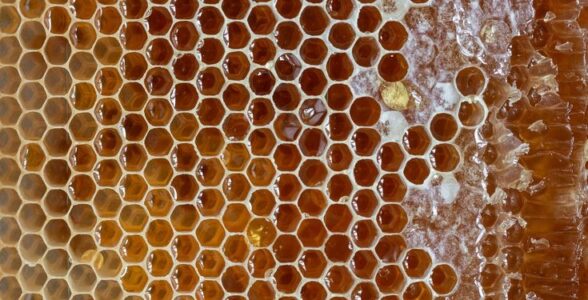 نکات مهم در مصرف عسل