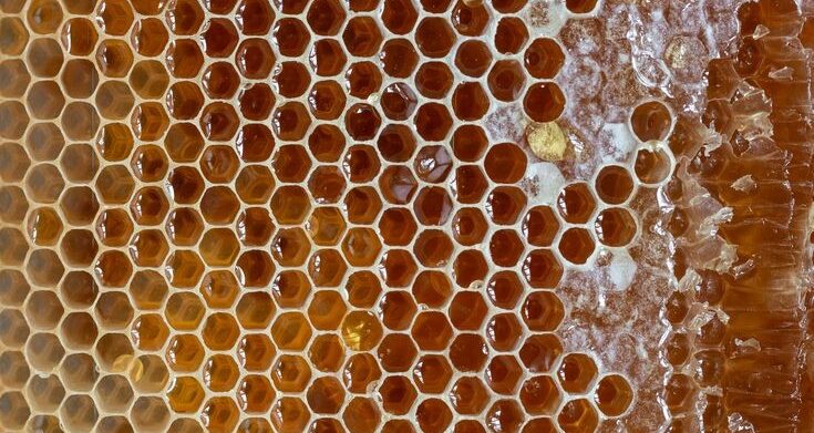 نکات مهم در مصرف عسل