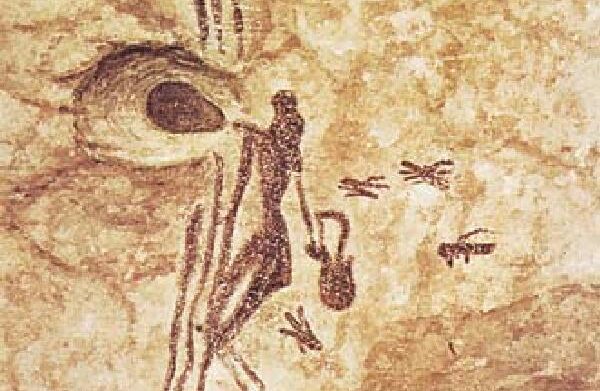 تاریخچه زنبورداری