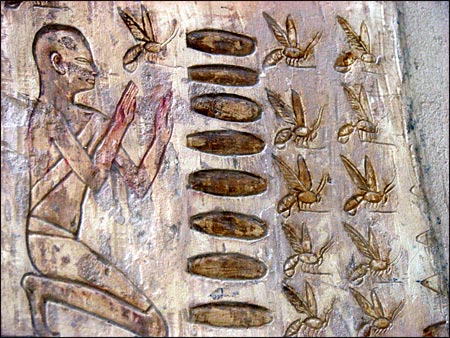 انسان و زنبورعسل در عهد باستان