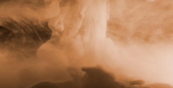 تاثیر گرد و غبار بر زنبورداری