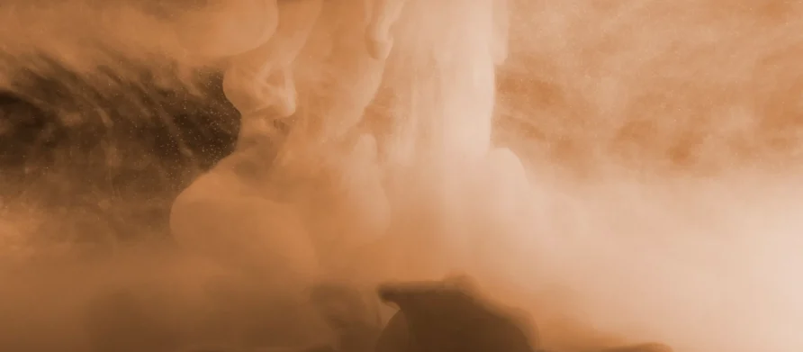 تاثیر گرد و غبار بر زنبورداری