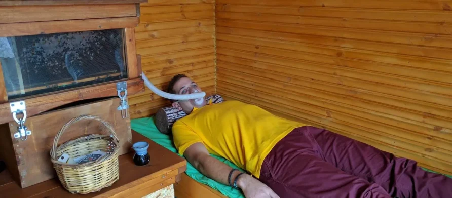 زنبور درمانی