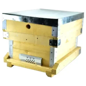 کندوچه چوبی زنبورعسل | چوب روسی