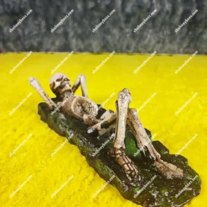 جاعودی شاخه ای | طرح اسکلت خوابیده