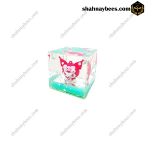 جاقلمی آکواریومی مکعبی طرح کرومی رنگ سبز Kuromi