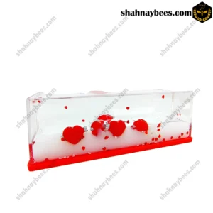 آکواریوم قلب معلق ژله ای