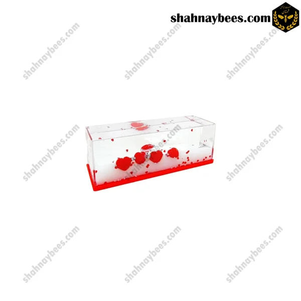 آکواریوم قلب معلق ژله ای1